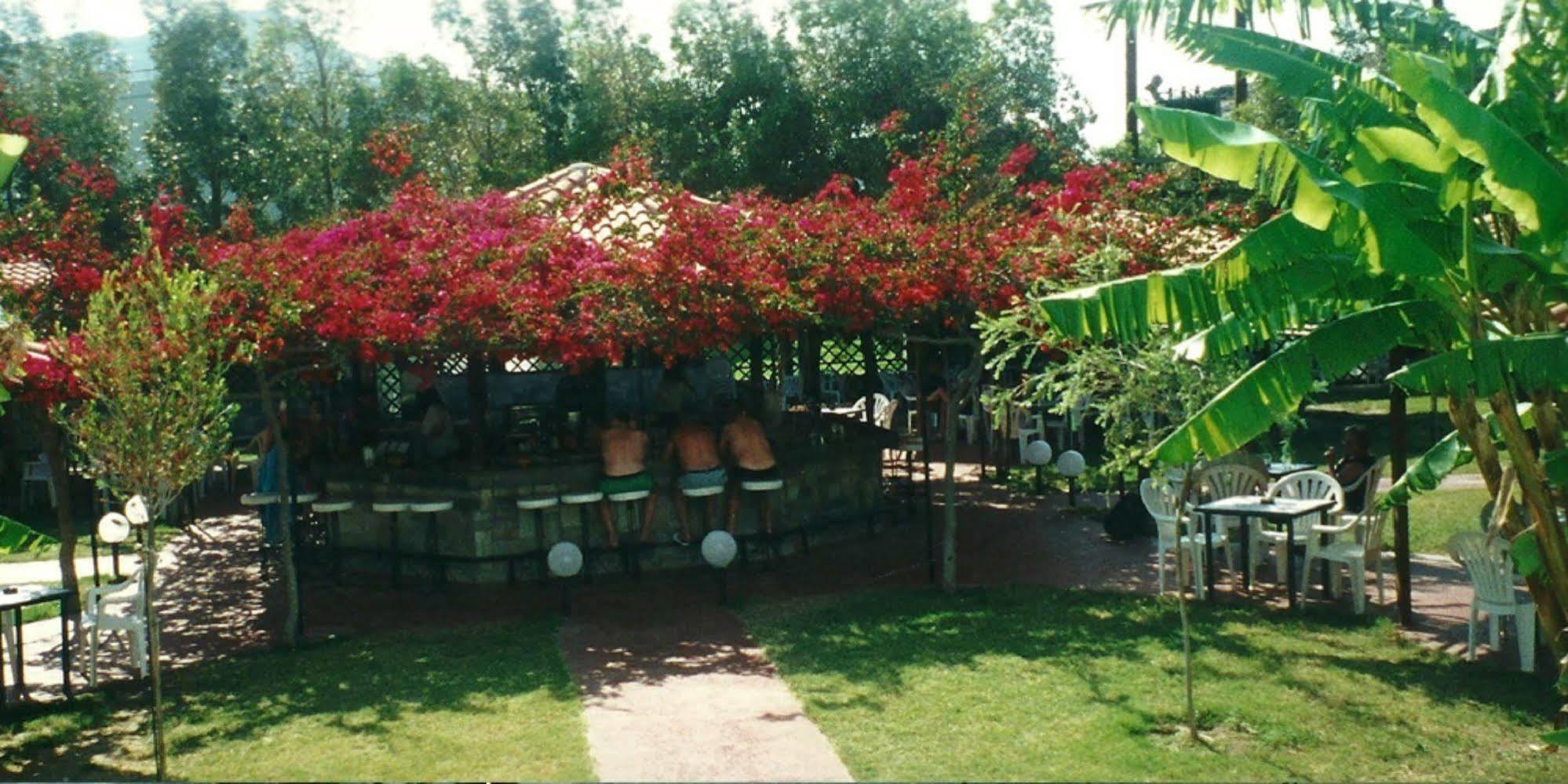 Alfa Hotell Kolymbia